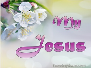 My Jesus (devotional)03-09 (maroon)